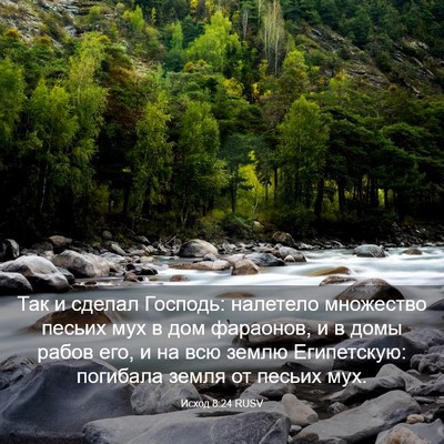 Picture 03 - Исход 8:24 RUSV - Так и сделал Господь: - Bible Verse Picture