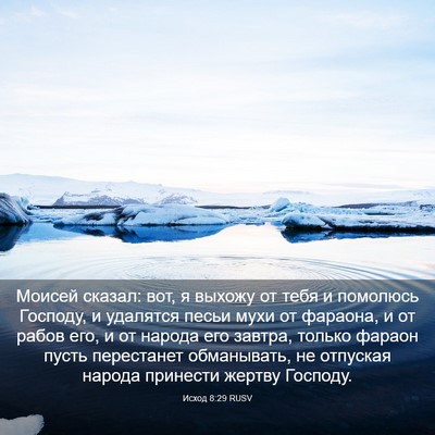 Picture 03 - Исход 8:29 RUSV - Моисей сказал: вот, я - Bible Verse Picture