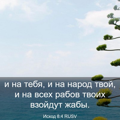Picture 03 - Исход 8:4 RUSV - и на тебя, и на народ твой, и - Bible Verse Picture