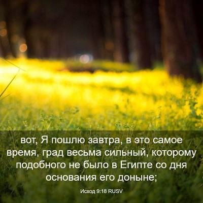 Picture 03 - Исход 9:18 RUSV - вот, Я пошлю завтра, в это - Bible Verse Picture