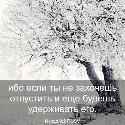 Picture 03 - Исход 9:2 RUSV - ибо если ты не захочешь - Bible Verse Picture
