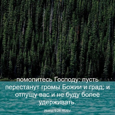 Picture 03 - Исход 9:28 RUSV - помолитесь Господу: пусть - Bible Verse Picture