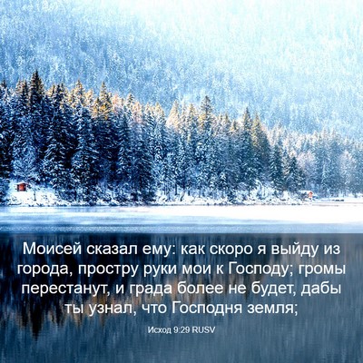 Picture 03 - Исход 9:29 RUSV - Моисей сказал ему: как - Bible Verse Picture