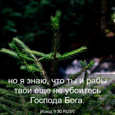 Picture 03 - Исход 9:30 RUSV - но я знаю, что ты и рабы - Bible Verse Picture