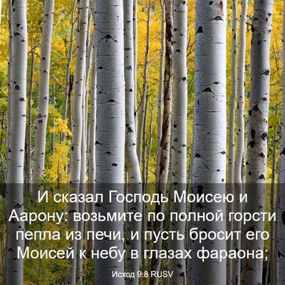 Picture 03 - Исход 9:8 RUSV - И сказал Господь Моисею и - Bible Verse Picture
