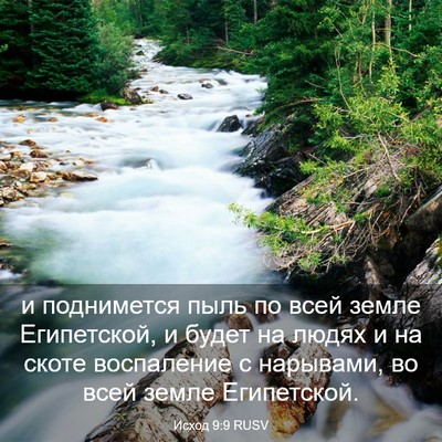Picture 03 - Исход 9:9 RUSV - и поднимется пыль по всей - Bible Verse Picture