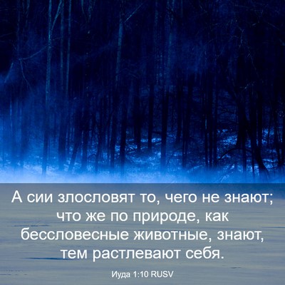 Picture 03 - Иуда 1:10 RUSV - А сии злословят то, чего не - Bible Verse Picture