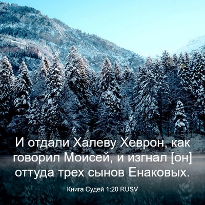Picture 03 - Книга Судей 1:20 RUSV - И отдали Халеву Хеврон, как - Bible Verse Picture