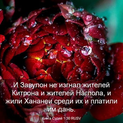Picture 03 - Книга Судей 1:30 RUSV - И Завулон не изгнал - Bible Verse Picture