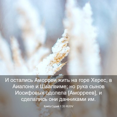 Picture 03 - Книга Судей 1:35 RUSV - И остались Аморреи жить на - Bible Verse Picture