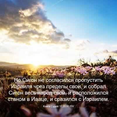 Picture 03 - Книга Судей 11:20 RUSV - Но Сигон не согласился - Bible Verse Picture