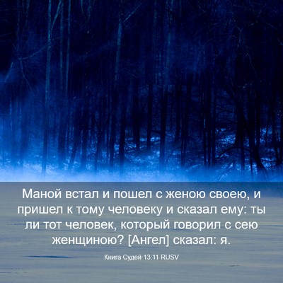 Picture 03 - Книга Судей 13:11 RUSV - Маной встал и пошел с женою - Bible Verse Picture