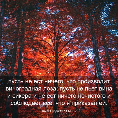 Picture 03 - Книга Судей 13:14 RUSV - пусть не ест ничего, что - Bible Verse Picture