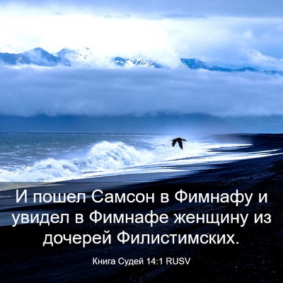 Picture 03 - Книга Судей 14:1 RUSV - И пошел Самсон в Фимнафу и - Bible Verse Picture