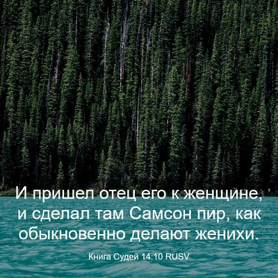 Picture 03 - Книга Судей 14:10 RUSV - И пришел отец его к - Bible Verse Picture