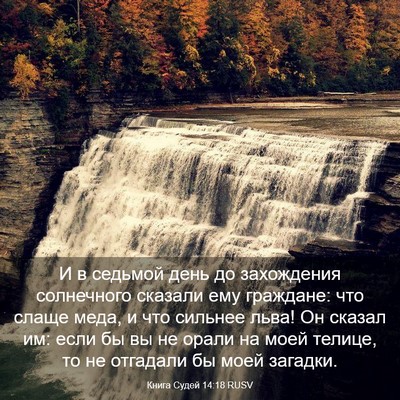 Picture 03 - Книга Судей 14:18 RUSV - И в седьмой день до - Bible Verse Picture