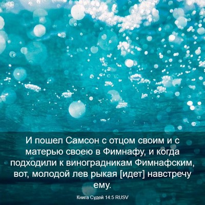 Picture 03 - Книга Судей 14:5 RUSV - И пошел Самсон с отцом - Bible Verse Picture