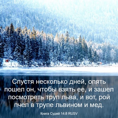 Picture 03 - Книга Судей 14:8 RUSV - Спустя несколько дней, - Bible Verse Picture