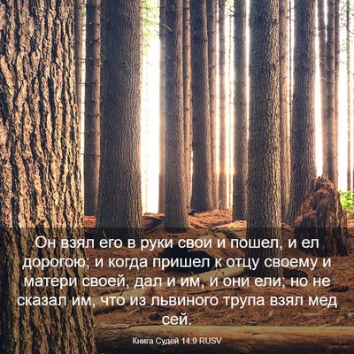 Picture 03 - Книга Судей 14:9 RUSV - Он взял его в руки свои и - Bible Verse Picture