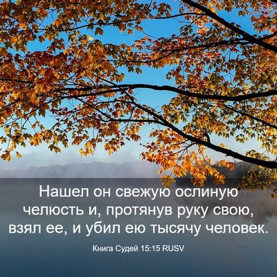 Picture 03 - Книга Судей 15:15 RUSV - Нашел он свежую ослиную - Bible Verse Picture