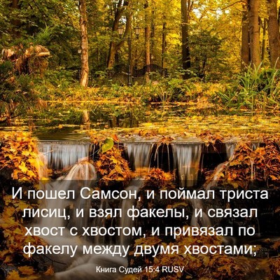 Picture 03 - Книга Судей 15:4 RUSV - И пошел Самсон, и поймал - Bible Verse Picture
