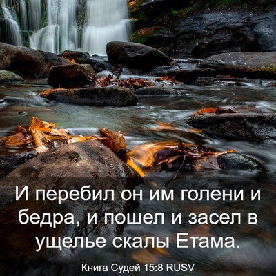 Picture 03 - Книга Судей 15:8 RUSV - И перебил он им голени и - Bible Verse Picture