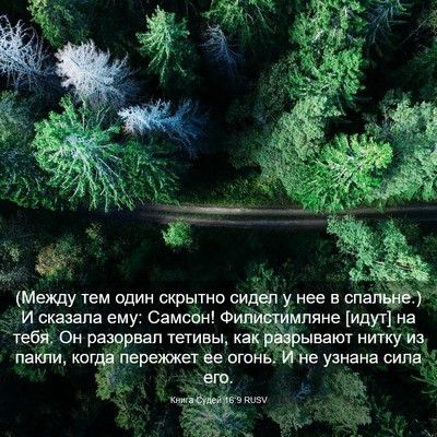 Picture 03 - Книга Судей 16:9 RUSV - (Между тем один скрытно - Bible Verse Picture