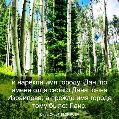 Picture 03 - Книга Судей 18:29 RUSV - и нарекли имя городу: Дан, - Bible Verse Picture