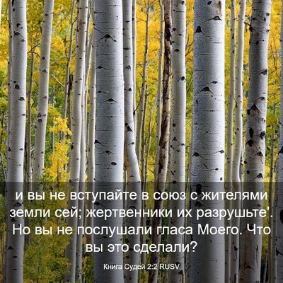 Picture 03 - Книга Судей 2:2 RUSV - и вы не вступайте в союз с - Bible Verse Picture