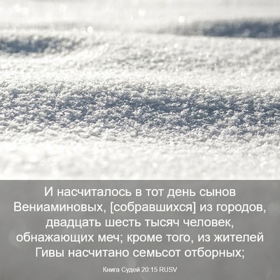 Picture 03 - Книга Судей 20:15 RUSV - И насчиталось в тот день - Bible Verse Picture
