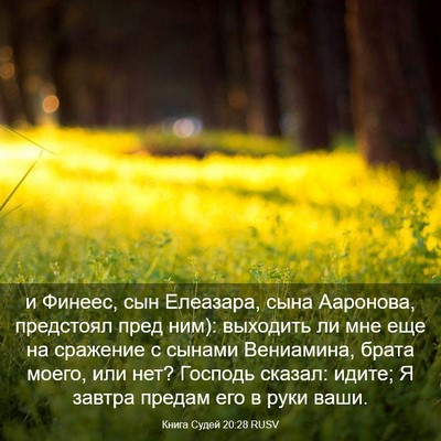 Picture 03 - Книга Судей 20:28 RUSV - и Финеес, сын Елеазара, - Bible Verse Picture