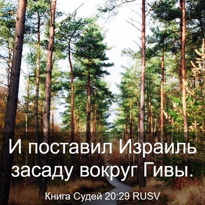Picture 03 - Книга Судей 20:29 RUSV - И поставил Израиль засаду - Bible Verse Picture
