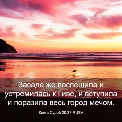 Picture 03 - Книга Судей 20:37 RUSV - Засада же поспешила и - Bible Verse Picture