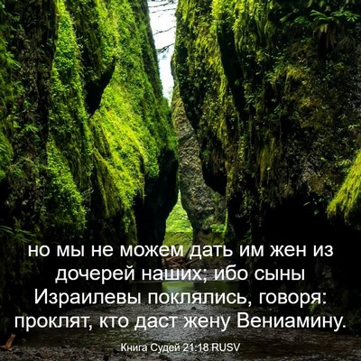 Picture 03 - Книга Судей 21:18 RUSV - но мы не можем дать им жен - Bible Verse Picture