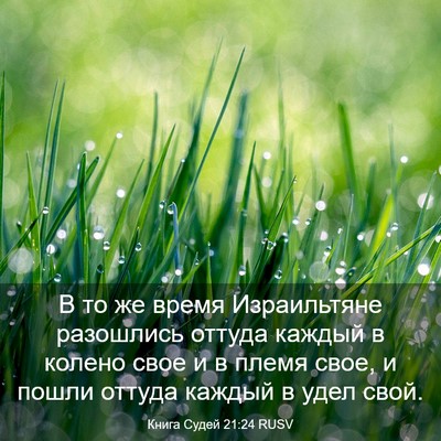 Picture 03 - Книга Судей 21:24 RUSV - В то же время Израильтяне - Bible Verse Picture