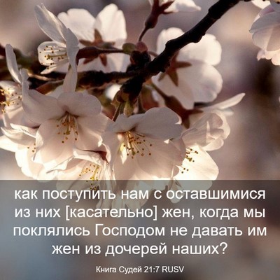 Picture 03 - Книга Судей 21:7 RUSV - как поступить нам с - Bible Verse Picture