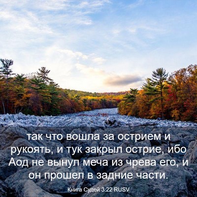 Picture 03 - Книга Судей 3:22 RUSV - так что вошла за острием и - Bible Verse Picture