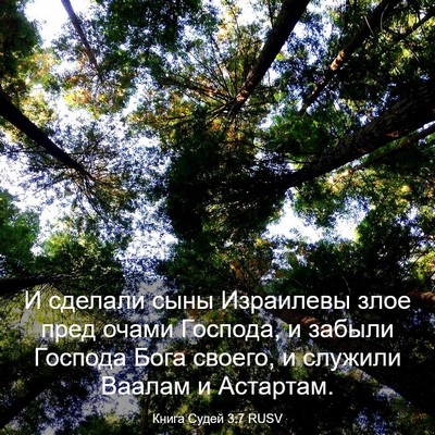 Picture 03 - Книга Судей 3:7 RUSV - И сделали сыны Израилевы - Bible Verse Picture