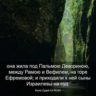 Picture 03 - Книга Судей 4:5 RUSV - она жила под Пальмою - Bible Verse Picture