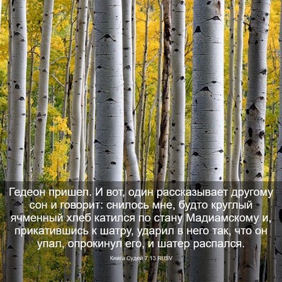 Picture 03 - Книга Судей 7:13 RUSV - Гедеон пришел. И вот, один - Bible Verse Picture