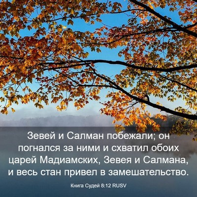 Picture 03 - Книга Судей 8:12 RUSV - Зевей и Салман побежали; он - Bible Verse Picture