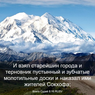 Picture 03 - Книга Судей 8:16 RUSV - И взял старейшин города и - Bible Verse Picture