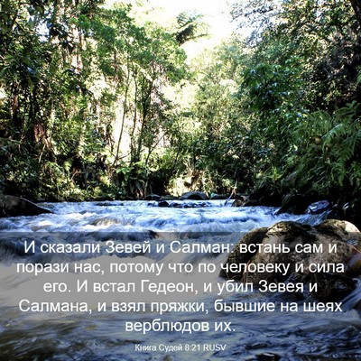 Picture 03 - Книга Судей 8:21 RUSV - И сказали Зевей и Салман: - Bible Verse Picture