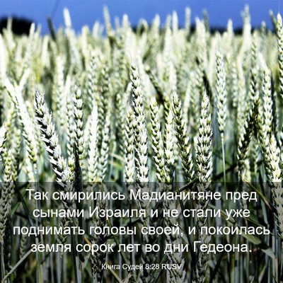 Picture 03 - Книга Судей 8:28 RUSV - Так смирились Мадианитяне - Bible Verse Picture