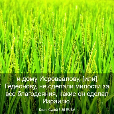 Picture 03 - Книга Судей 8:35 RUSV - и дому Иероваалову, [или] - Bible Verse Picture