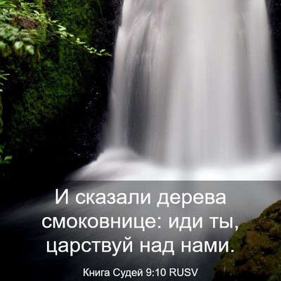 Picture 03 - Книга Судей 9:10 RUSV - И сказали дерева - Bible Verse Picture