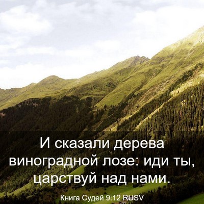 Picture 03 - Книга Судей 9:12 RUSV - И сказали дерева - Bible Verse Picture