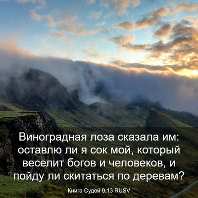 Picture 03 - Книга Судей 9:13 RUSV - Виноградная лоза сказала - Bible Verse Picture
