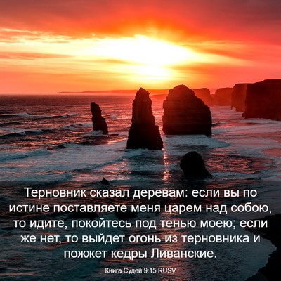 Picture 03 - Книга Судей 9:15 RUSV - Терновник сказал деревам: - Bible Verse Picture