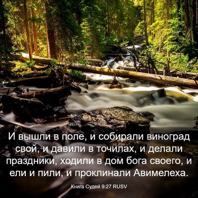 Picture 03 - Книга Судей 9:27 RUSV - И вышли в поле, и собирали - Bible Verse Picture